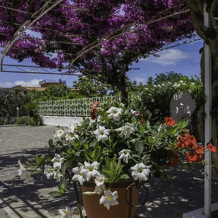 Villa Iolanda-3